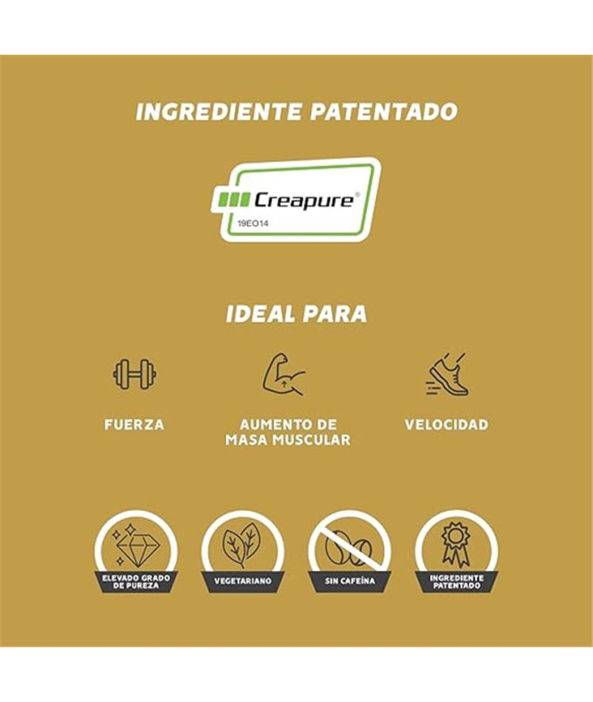 Creatine Powder Gold Nutrition 280 G