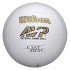Bola Voleibol Wilson de Castaway