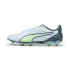 Botas de Fútbol Puma King Pro Fg/Ag Frosted Dew/Fizzy Apple/Gray Skies