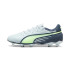 Football Chaussures de Puma King Match Fg/Ag Frosted Dew/Fizzy Apple/Gray Skies