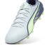 Futebol Botas de Puma King Match Fg/Ag Frosted Dew/Fizzy Apple/Gray Skies