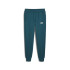 Pantalon Décontracté Homme Puma Essentials+ 2 Col Logo Pants Fl Cl Cold Green