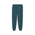 Calça Casual Homem Calças Puma Essentials+ 2 Col Logo Fl Cl Cold Green
