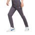 Pantalón Casual Puma Evostripe Pants Dk Hombre Galactic Gray