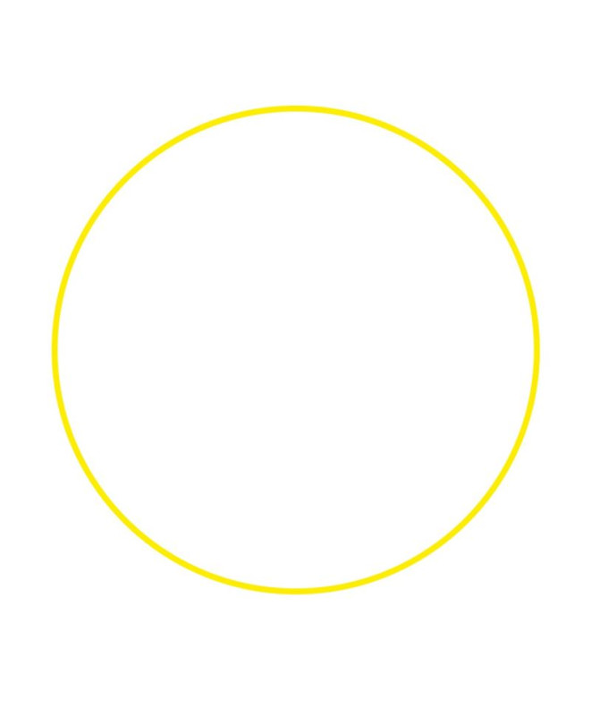 Roue Gymnastique rythmique Gala 75Cm Enebe