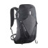Bolsa de Montanha Salomon Aerotrek 20 Antracite/Nine Iron
