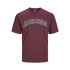 Camiseta Jack and Jones Jjecaleb Varsity O-Neck Hombre Vineyard Wine