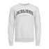 Sudadera Jack and Jones Jjecaleb Varsity Crew Neck Sn  Niño White Melange