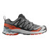 Sapatilhas Trail Salomon da Xa Pro 3D V9 Castlerock/Preto/ocre queimado Homem
