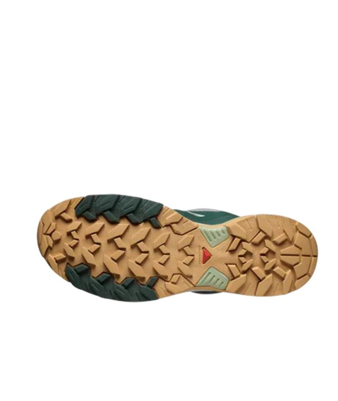 Chaussures de Montagne Salomon X Ultra 360 Edge...