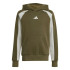 Moletom adidas Infantil Cb Fl Hd Verde Escuro