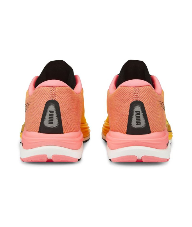 Velocity Nitro 2 Wns