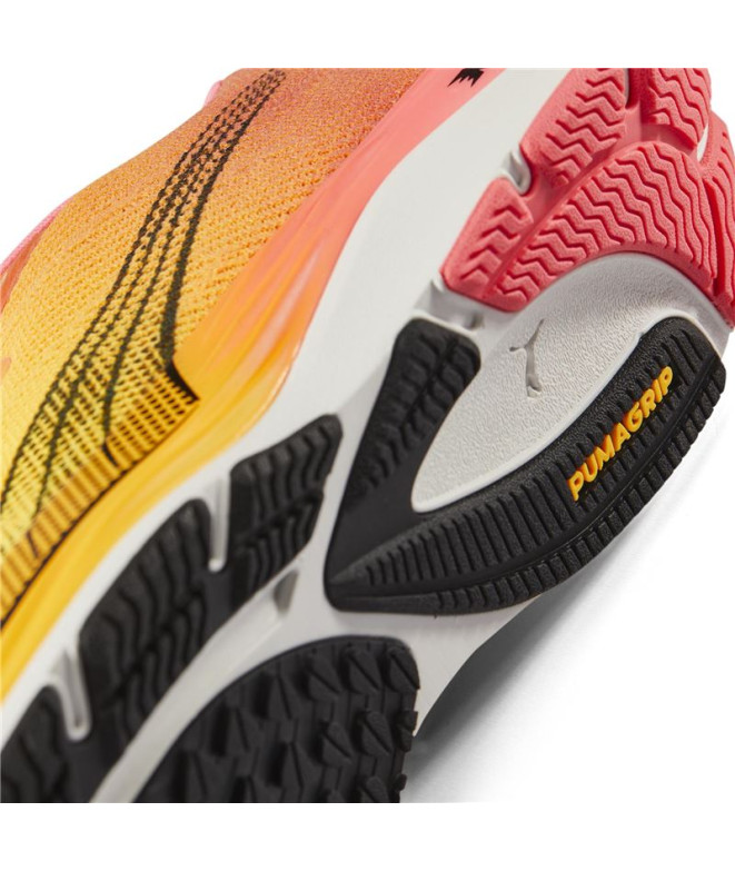 Velocity Nitro 2 Wns