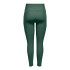 Malhas Only Onpjana-2 Hw Pck Tights Noos Duck Green Mulher