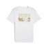 Camiseta Homem T-shirt Puma Graphics Mountain Branco