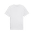 Camiseta Homem T-shirt Puma Graphics Mountain Branco