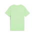 Camiseta Menino T-shirt Puma Essentials 2 Color Small Small No. 1 Logo Tee B Spring Fern