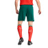 Calça Futebol Homem de Puma Portugal 25 Réplica Verde