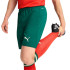 Calça Futebol Homem de Puma Portugal 25 Réplica Verde