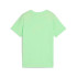 Camiseta Puma Graphics Iii B, Spring Fern, Menino