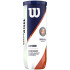 Bolas Tênis Wilson de Roland Garros Clay Ct 3 Ball Yellow
