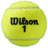 Bolas Tênis Wilson de Roland Garros Clay Ct 3 Ball Yellow