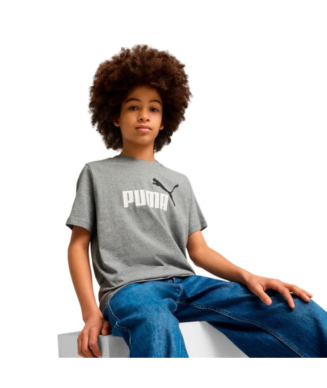 Camiseta Puma Essentials 2 Color No.1 Log,...
