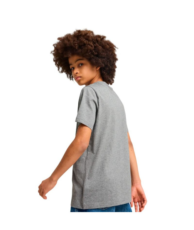 Camiseta Puma Essentials 2 Color No.1 Log,...