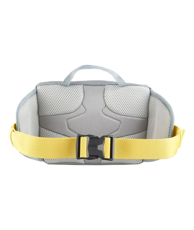 Sac banane de Montagne Salomon Trailblazer Gris