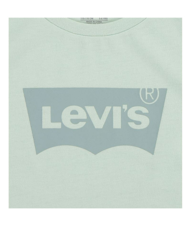 Camiseta Menina Levi's Lvg Batwing Celadon