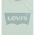 Camiseta Menina Levi's Lvg Batwing Celadon