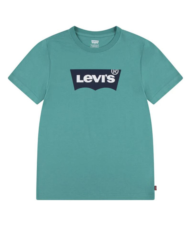 Camiseta Menino Levi's Lvb Batwing Porcelana verde