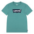 Camiseta Menino Levi's Lvb Batwing Porcelana verde