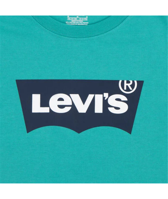 T-shirt Enfant Levi's Lvb Batwing Porcelain green