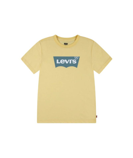 Camiseta Menino Levi's Lvb Batwing Haze dourado