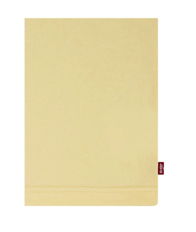 Camiseta Menino Levi's Lvb Batwing Haze dourado