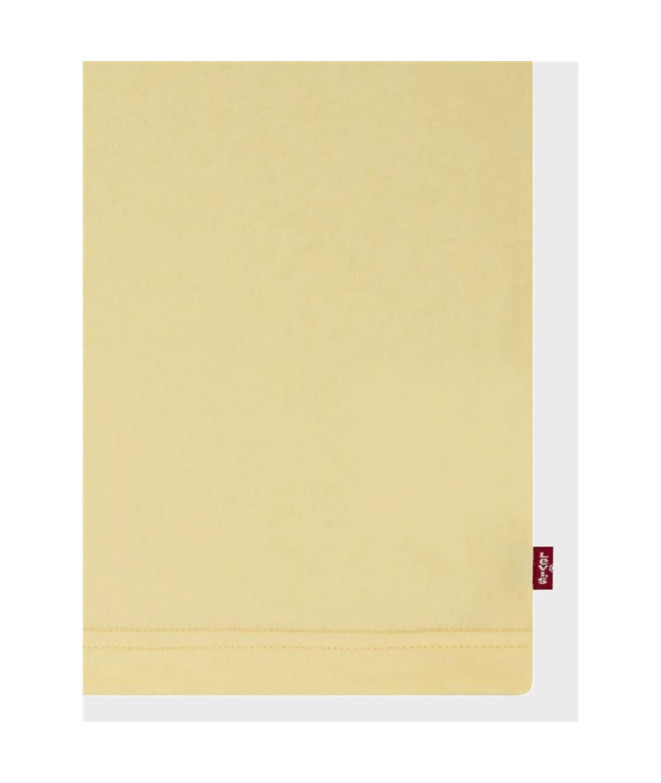 Camiseta Menino Levi's Lvb Batwing Haze dourado