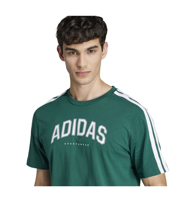 T-shirt adidas Homme Colleg Vert foncé