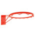 Aro Basquetebol Bird Enebe