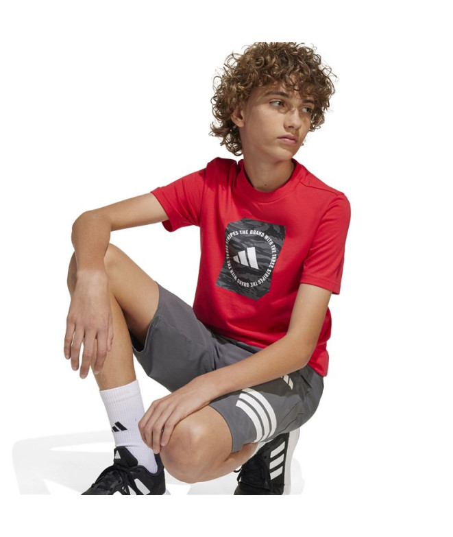 Camiseta adidas Menino Caixa Camo Rubpur