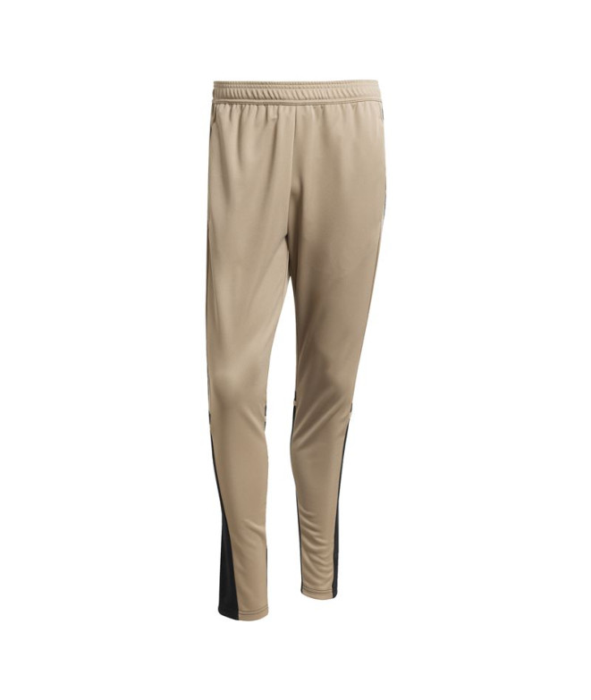 Pantalones de Fútbol adidas Squadra25 Tr Hombre Carpal/Negro