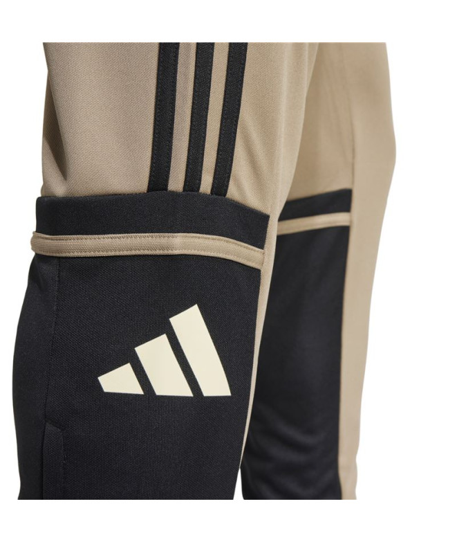 Calça Futebol adidas Homem da Squadra25 Tr...