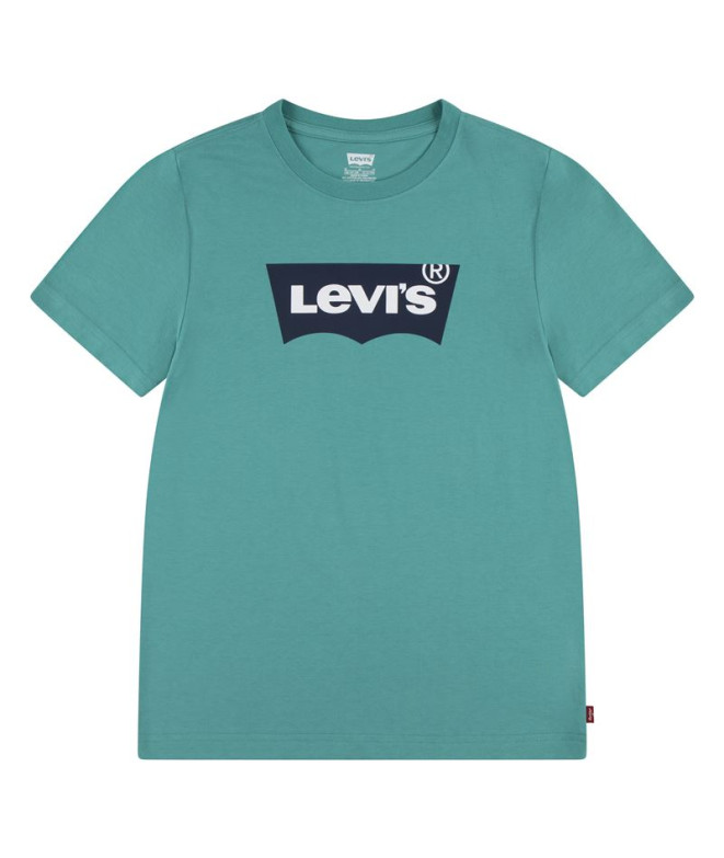 Camiseta Menino Levi's Lvb Batwing Porcelana verde