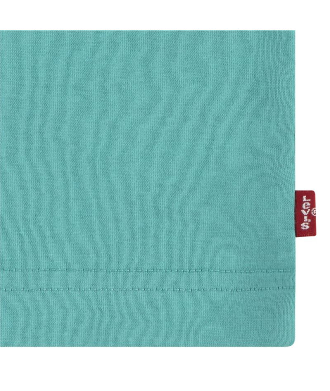 Camiseta Menino Levi's Lvb Batwing Porcelana verde