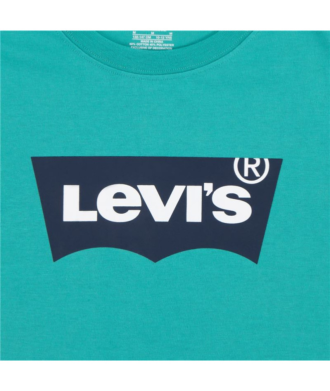 Camiseta Menino Levi's Lvb Batwing Porcelana verde