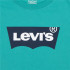 Camiseta Menino Levi's Lvb Batwing Porcelana verde