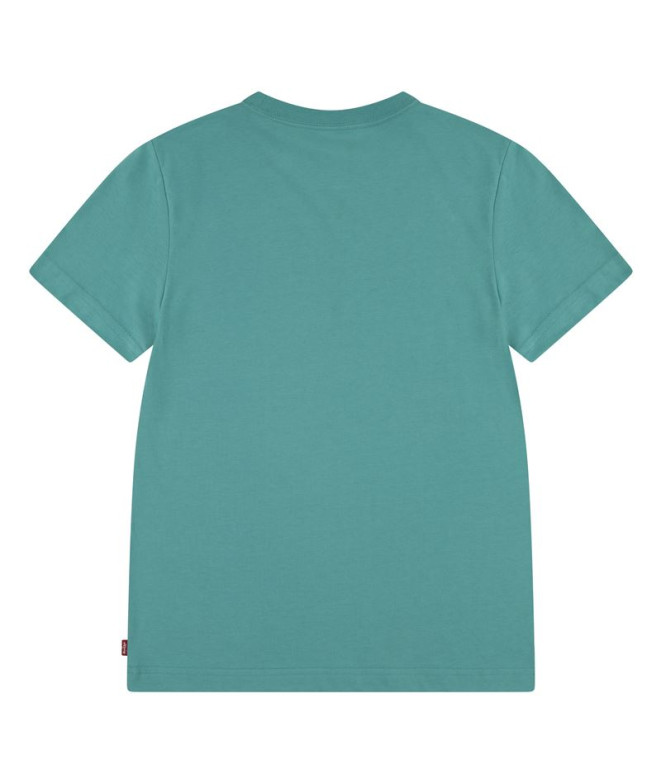 Camiseta Menino Levi's Lvb Batwing Porcelana verde