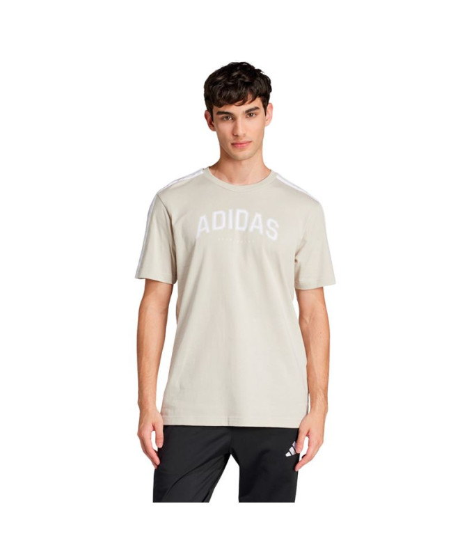 Camiseta adidas Homem Faculdade Creme