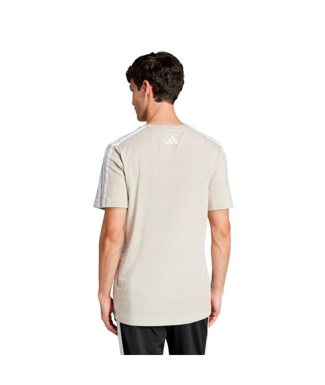 Camiseta adidas Homem Faculdade Creme