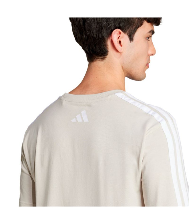 Camiseta adidas Homem Faculdade Creme